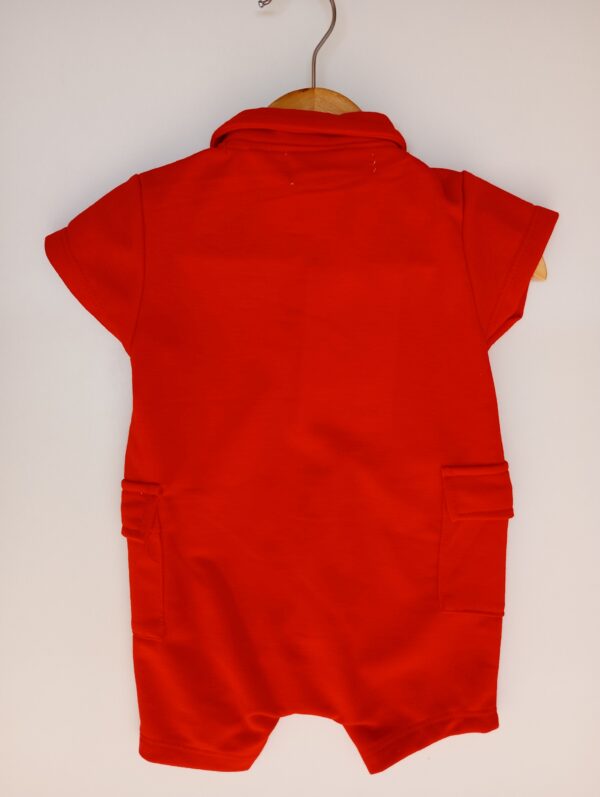 Enterito Polo - Image 2