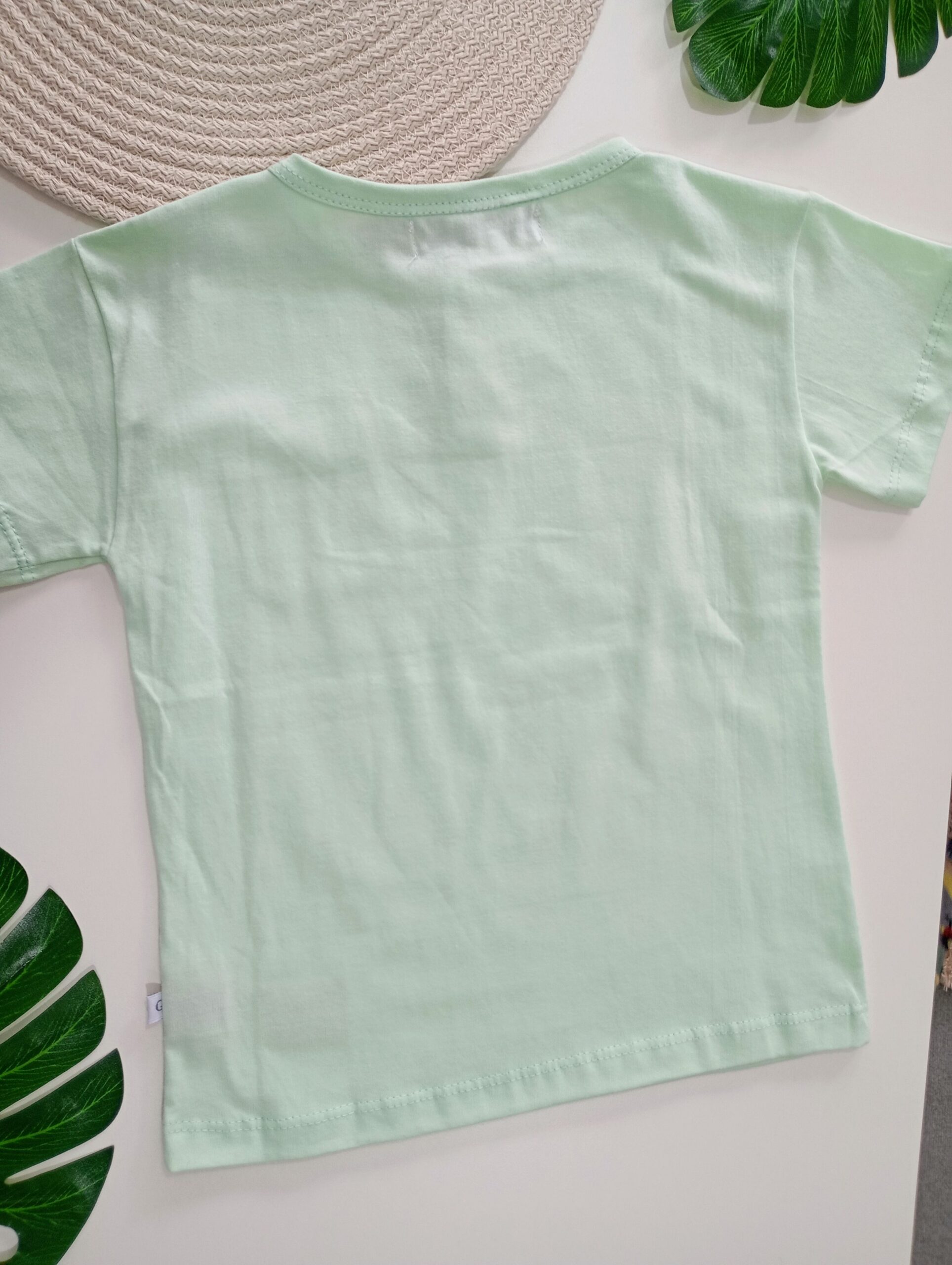 Remera Boston Verde Agua - Image 2