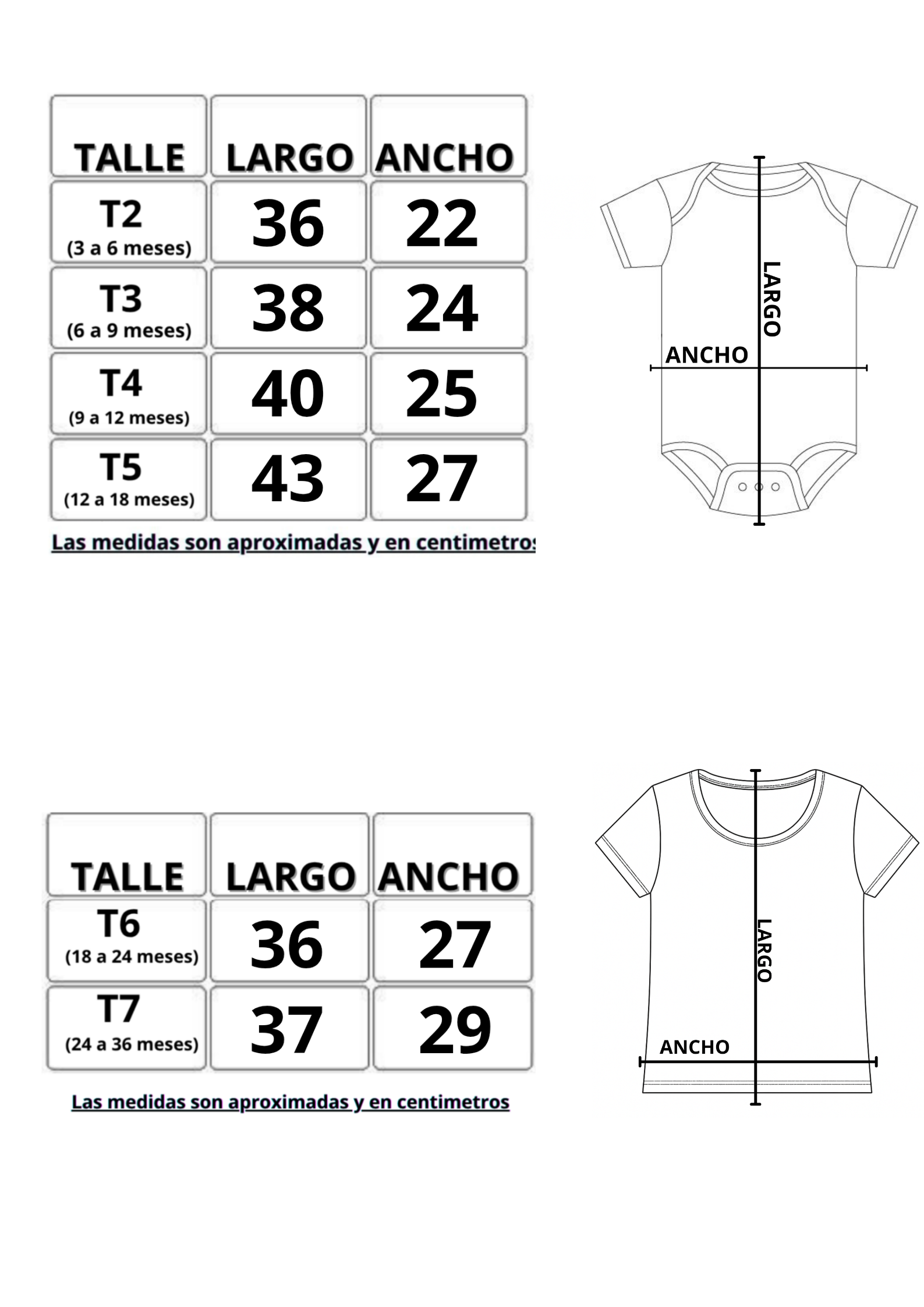 Body / Remera - Image 5