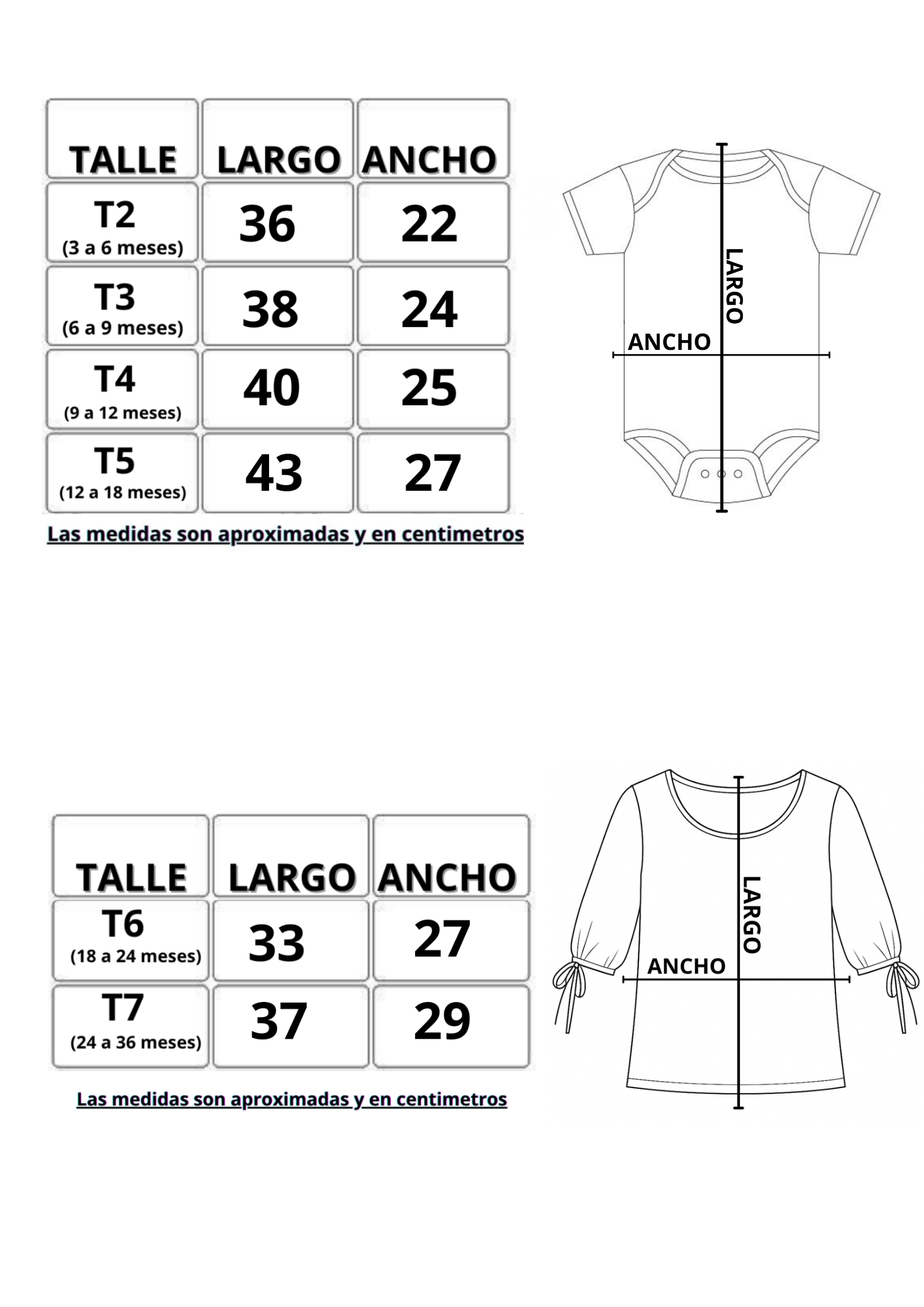 Body / Remera (Mangas 3/4) - Image 6