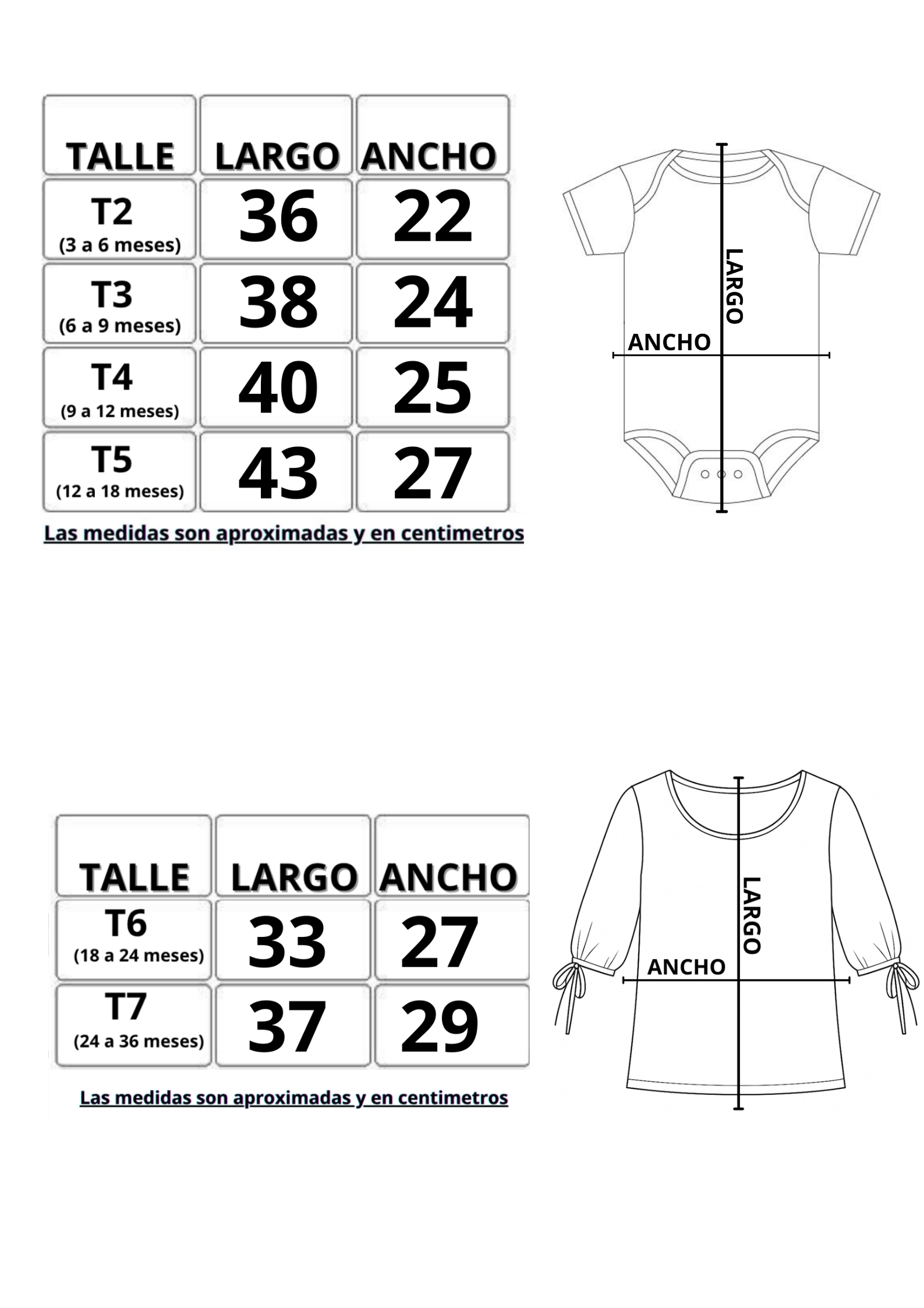 Body / Remera (Manga 3/4) - Image 6