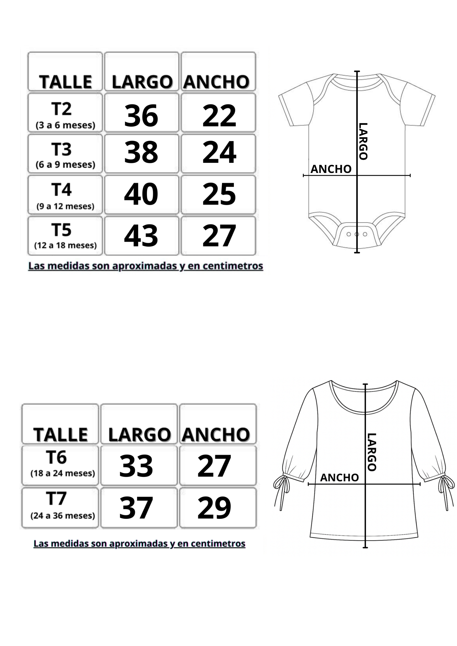 Body / Remera (Mangas 3/4) - Image 6