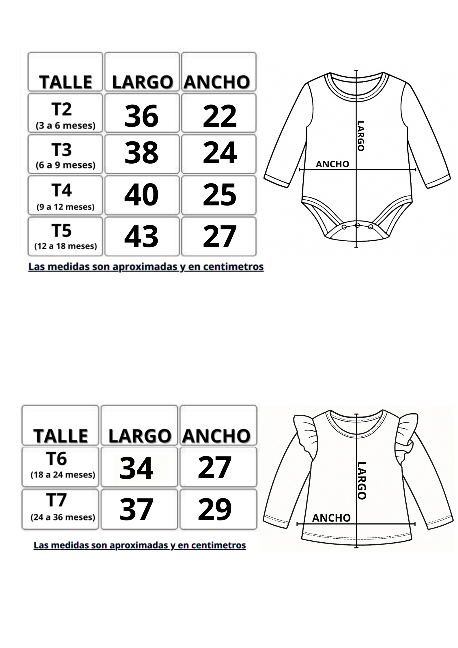 Body / Remera (Mangas Larga) - Image 5